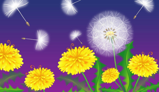 871923 (a): :2560x1479